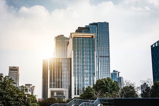 Project Management And Consultancy